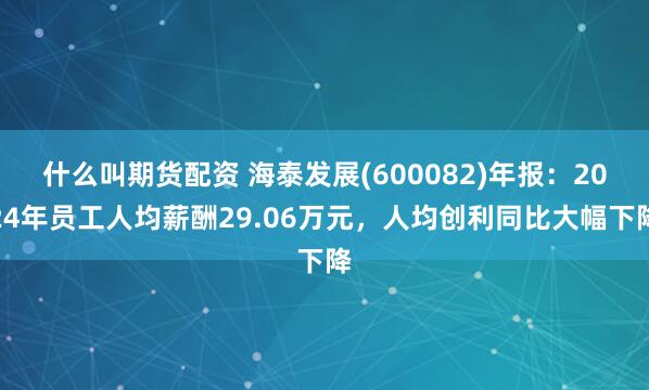 什么叫期货配资 海泰发展(600082)年报：2024年员工人均薪酬29.06万元，人均创利同比大幅下降