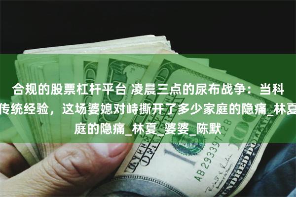 合规的股票杠杆平台 凌晨三点的尿布战争：当科学育儿撞上传统经验，这场婆媳对峙撕开了多少家庭的隐痛_林夏_婆婆_陈默