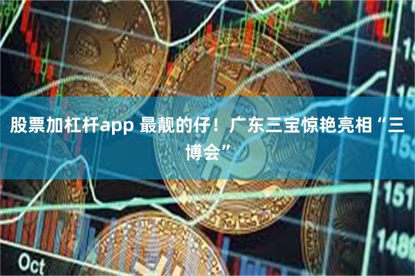 股票加杠杆app 最靓的仔！广东三宝惊艳亮相“三博会”
