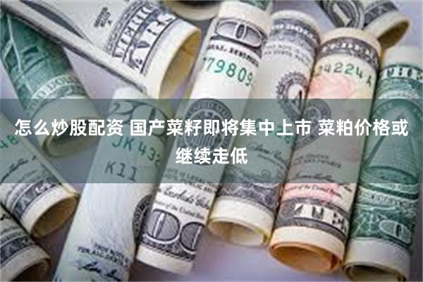 怎么炒股配资 国产菜籽即将集中上市 菜粕价格或继续走低