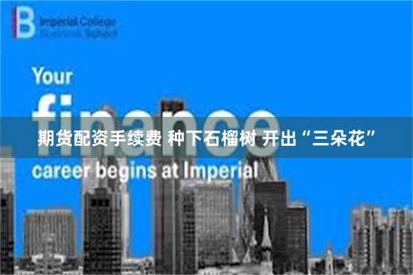 期货配资手续费 种下石榴树 开出“三朵花”