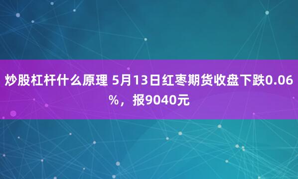 炒股杠杆什么原理 5月13日红枣期货收盘下跌0.06%，报9040元