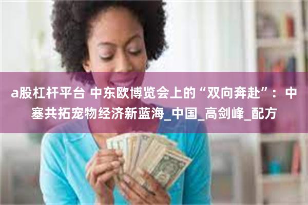 a股杠杆平台 中东欧博览会上的“双向奔赴”：中塞共拓宠物经济新蓝海_中国_高剑峰_配方
