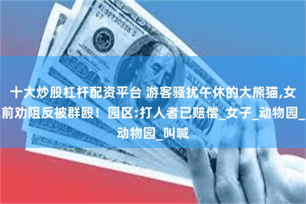 十大炒股杠杆配资平台 游客骚扰午休的大熊猫,女生上前劝阻反被群殴！园区:打人者已赔偿_女子_动物园_叫喊