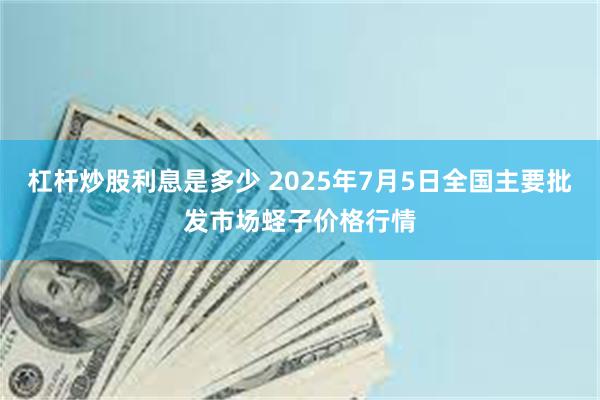 杠杆炒股利息是多少 2025年7月5日全国主要批发市场蛏子价格行情