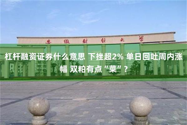 杠杆融资证券什么意思 下挫超2% 单日回吐周内涨幅 双粕有点“菜”？