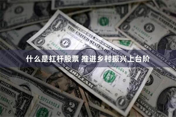 什么是扛杆股票 推进乡村振兴上台阶