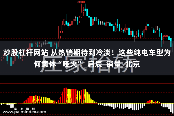 炒股杠杆网站 从热销期待到冷淡！这些纯电车型为何集体“哑火”_启辰_销量_北京