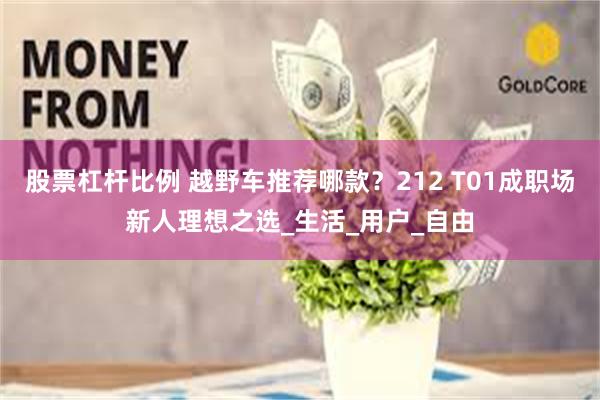 股票杠杆比例 越野车推荐哪款？212 T01成职场新人理想之选_生活_用户_自由