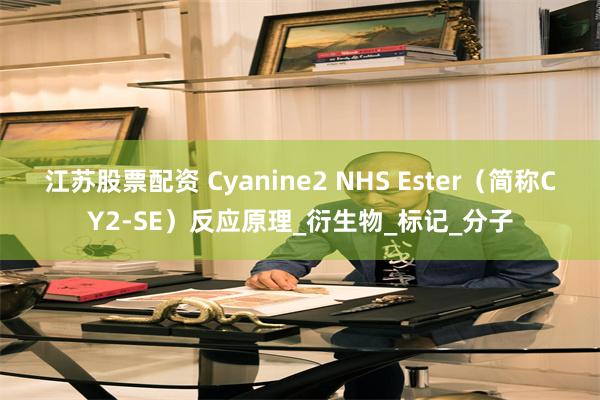 江苏股票配资 Cyanine2 NHS Ester（简称CY2-SE）反应原理_衍生物_标记_分子