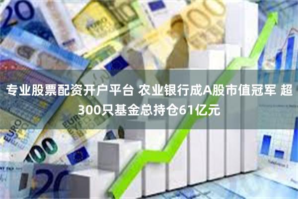 专业股票配资开户平台 农业银行成A股市值冠军 超300只基金总持仓61亿元