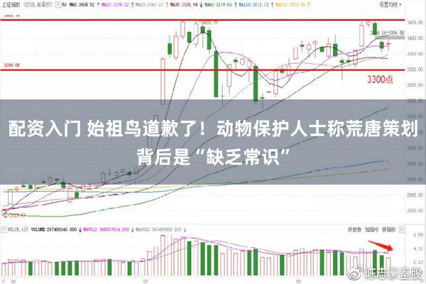配资入门 始祖鸟道歉了!动物保护人士称荒唐策划背后是“缺乏常识”