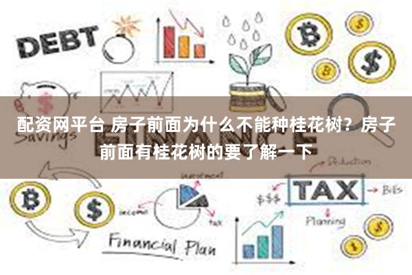 配资网平台 房子前面为什么不能种桂花树？房子前面有桂花树的要了解一下